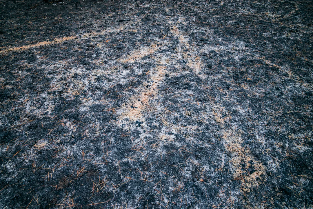 Close view of a fire-scorched forest floor patterned with black ash, pale exposed soil and scattered brown pine needles in North Evia, Greece.