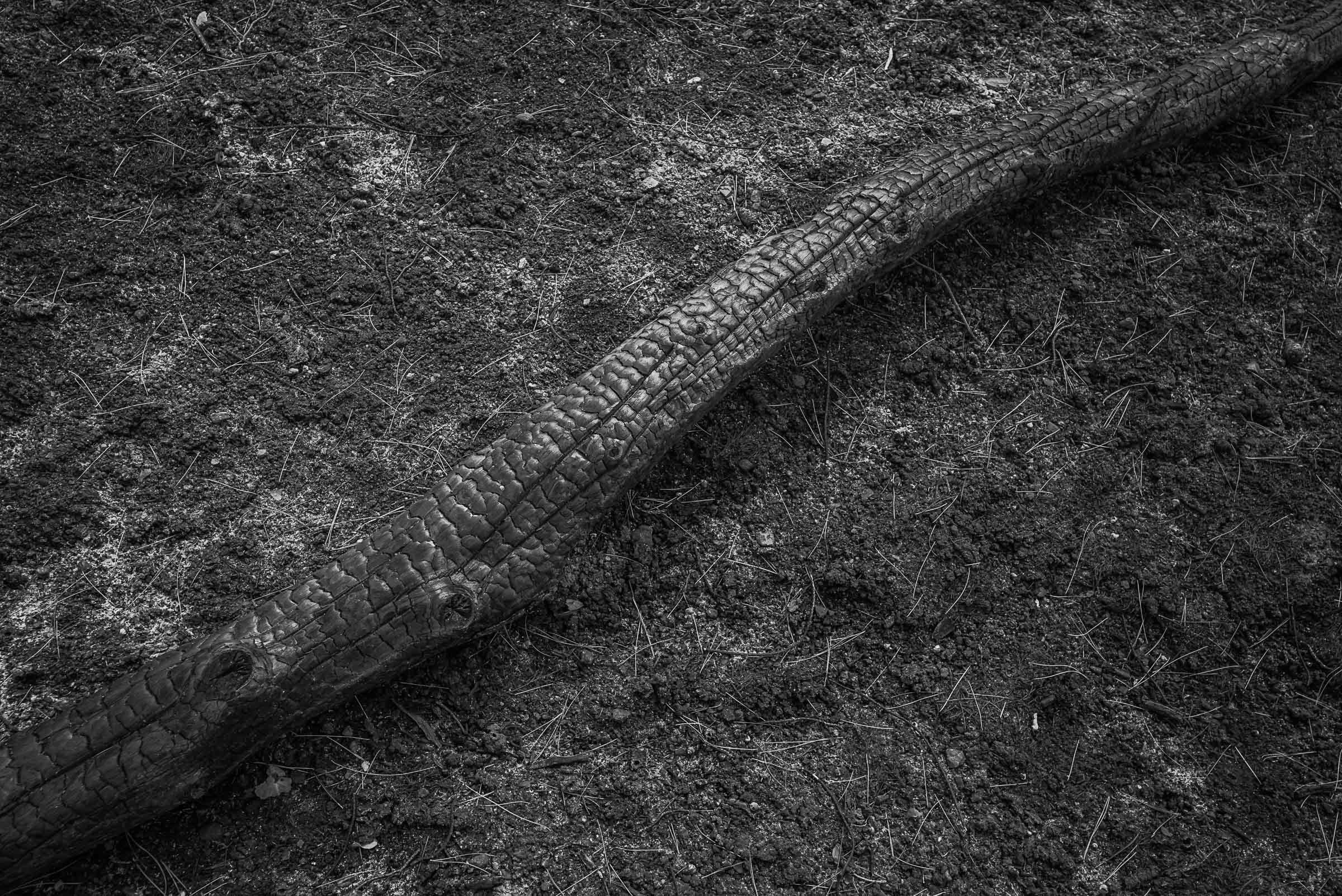 A charred branch lies diagonally across blackened, ash-covered ground scattered with pine needles beside a road in North Evia, photographed about a month after the 2021 wildfires.